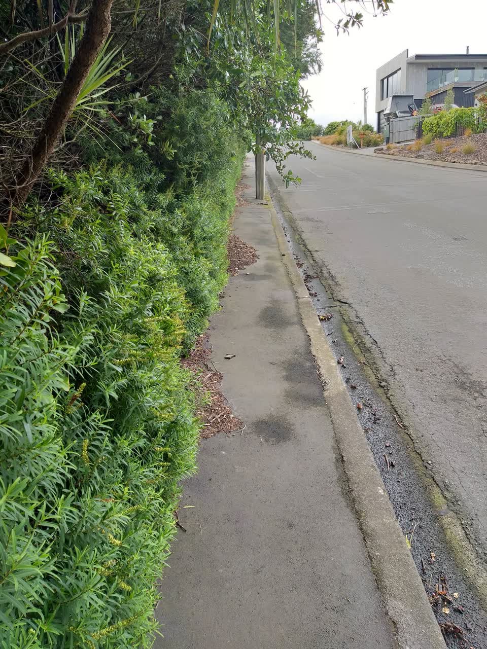 The photograph attached to this roading/streets report