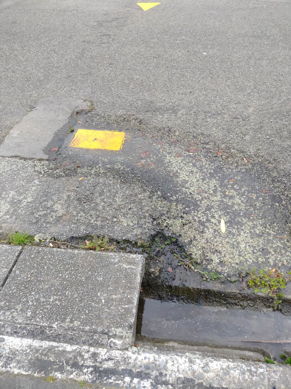 The photograph attached to this water leak report