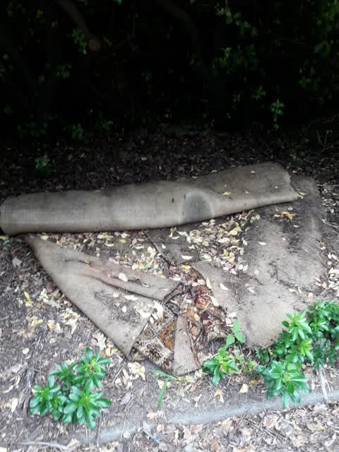 Rubbish/Recycling, a report photo