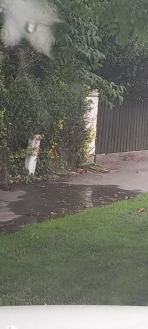 Water Leak, a report photo