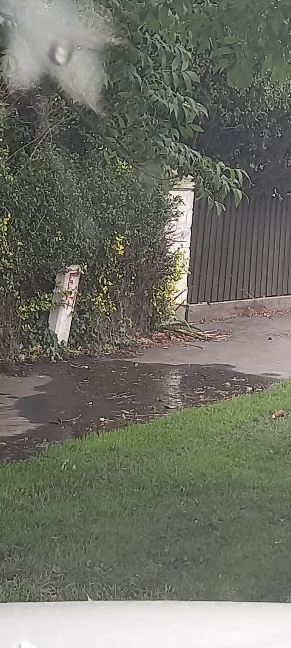The photograph attached to this water leak report