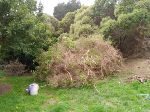 Parks, a report photo