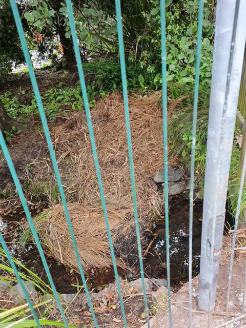 Wastewater/Stormwater, a report photo