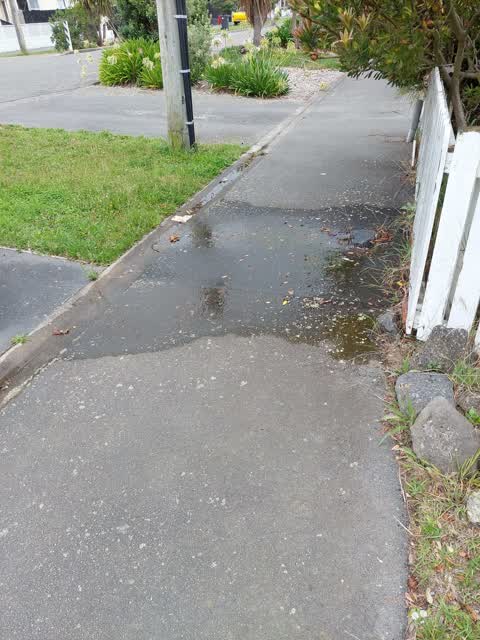Water Leak, a report photo