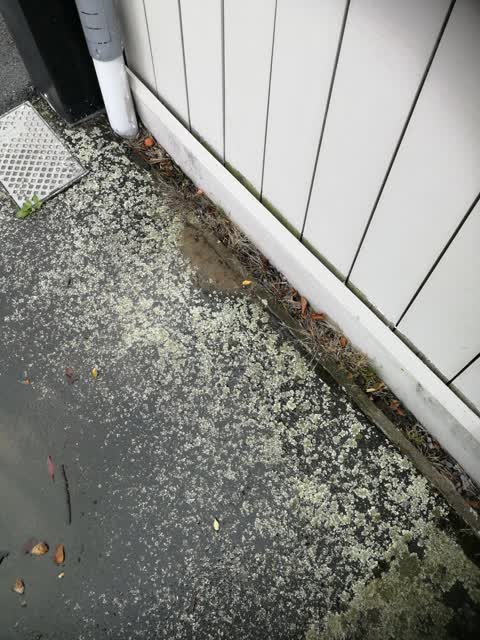 Wastewater/Stormwater, a report photo