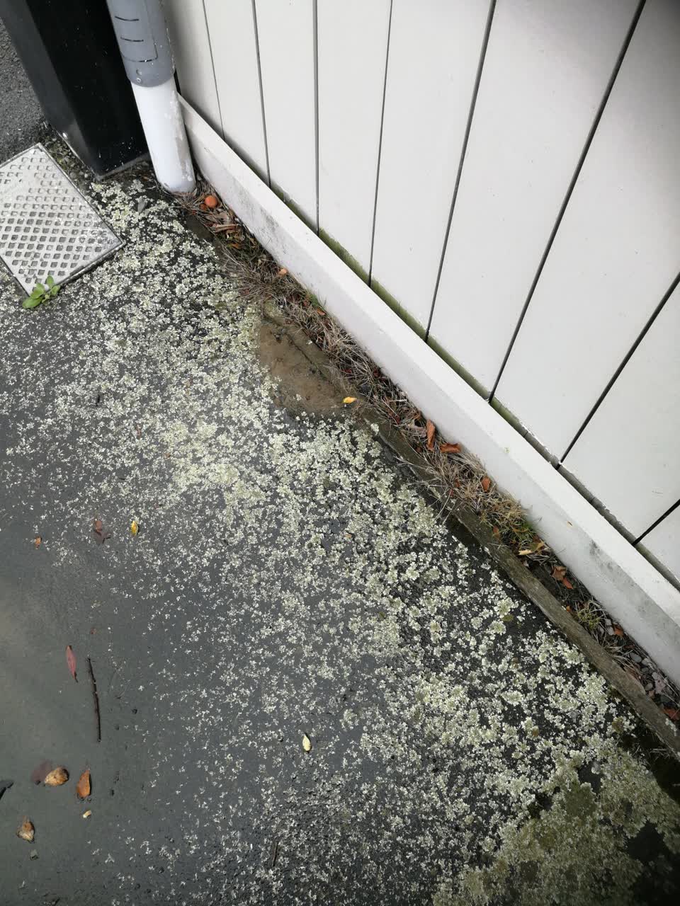 The photograph attached to this wastewater/stormwater report
