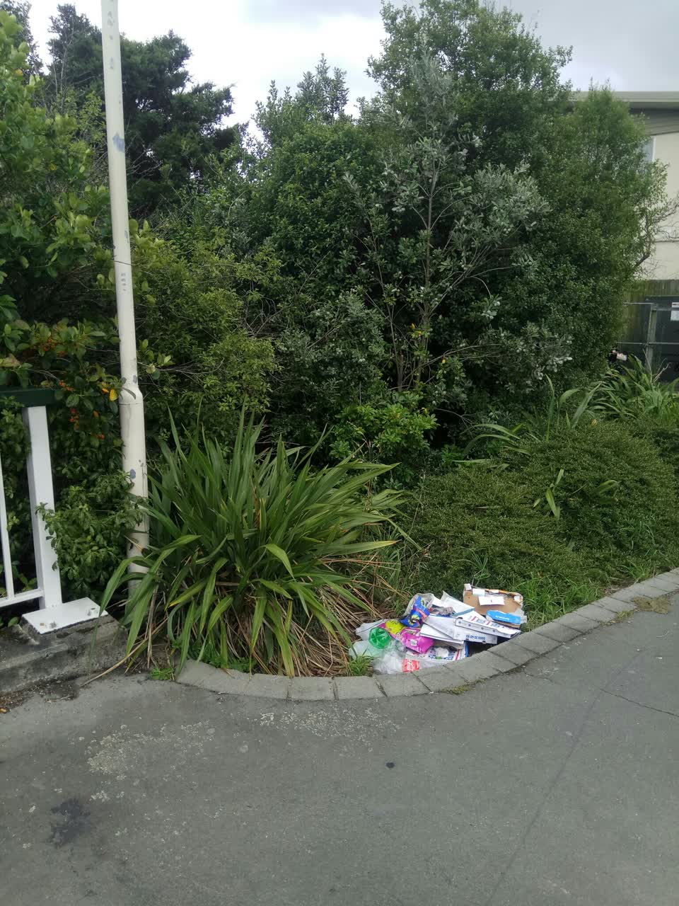 The photograph attached to this rubbish/recycling report