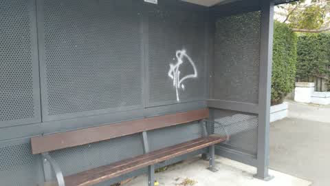 Graffiti, a report photo