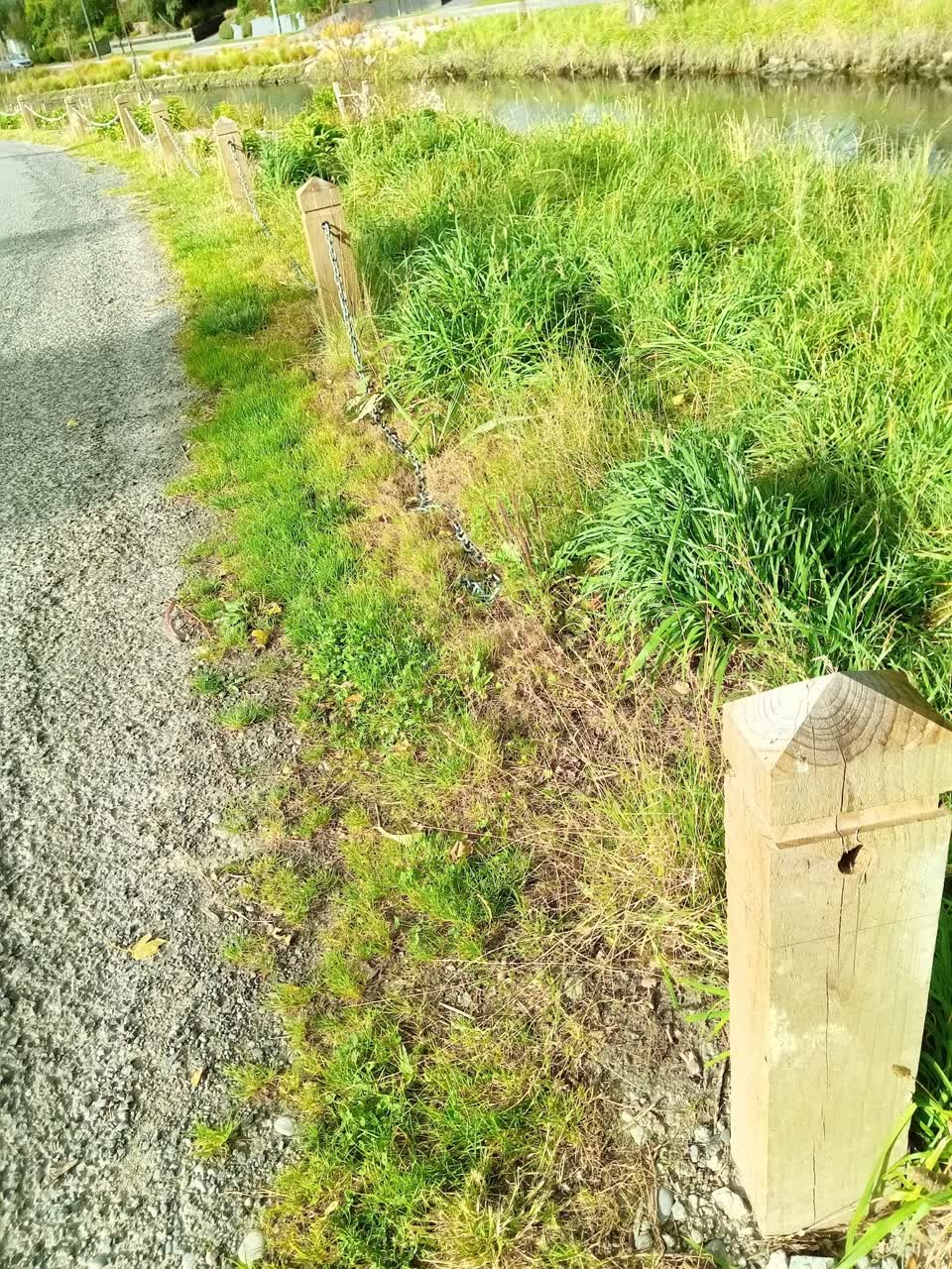 The photograph attached to this parks report