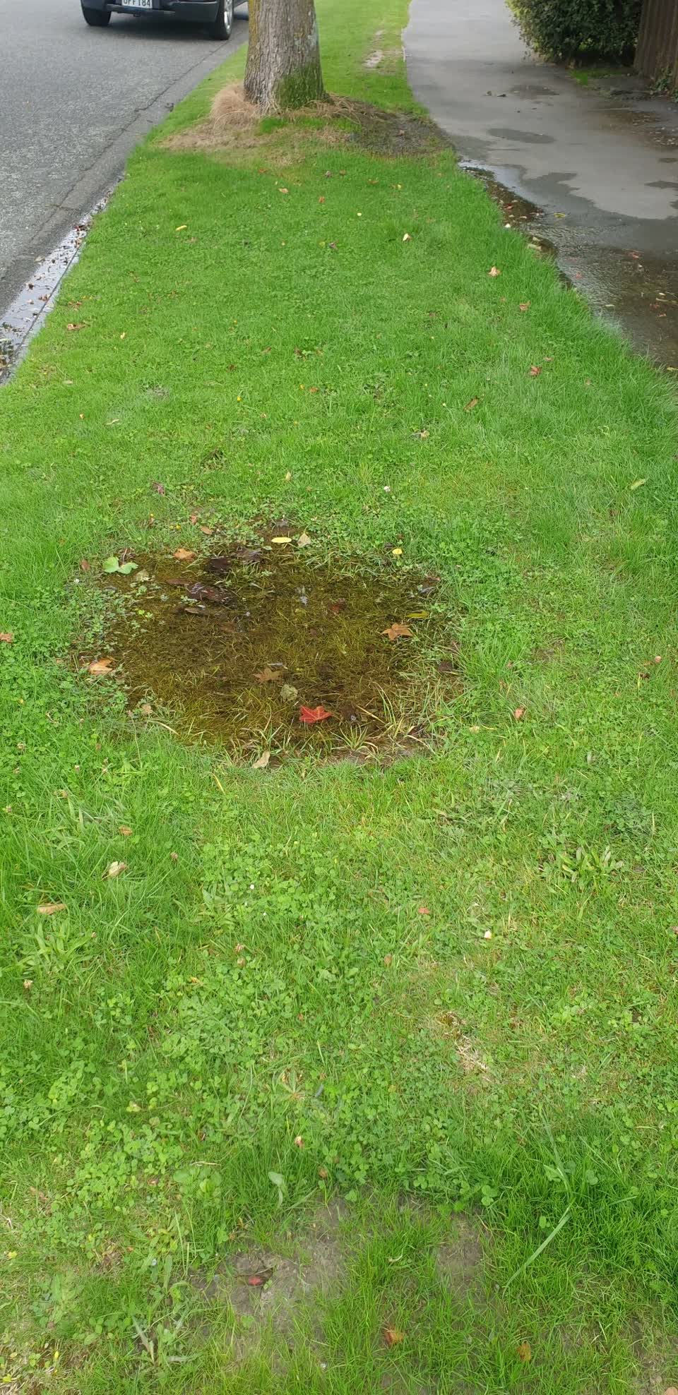 The photograph attached to this water leak report