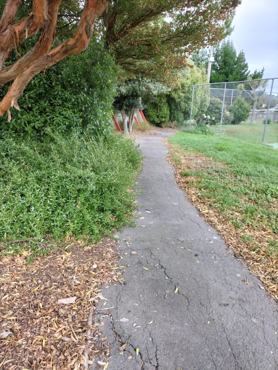 The photograph attached to this parks report