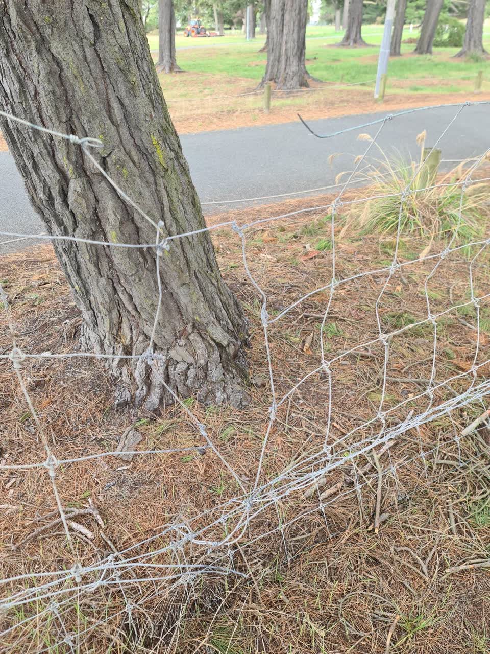 The photograph attached to this parks report