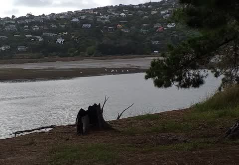 Parks, a report photo