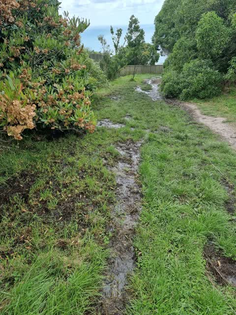Water Leak, a report photo