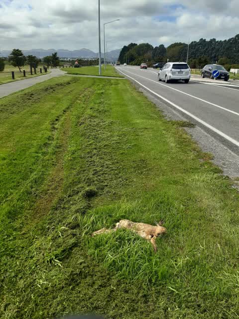 Parks, a report photo