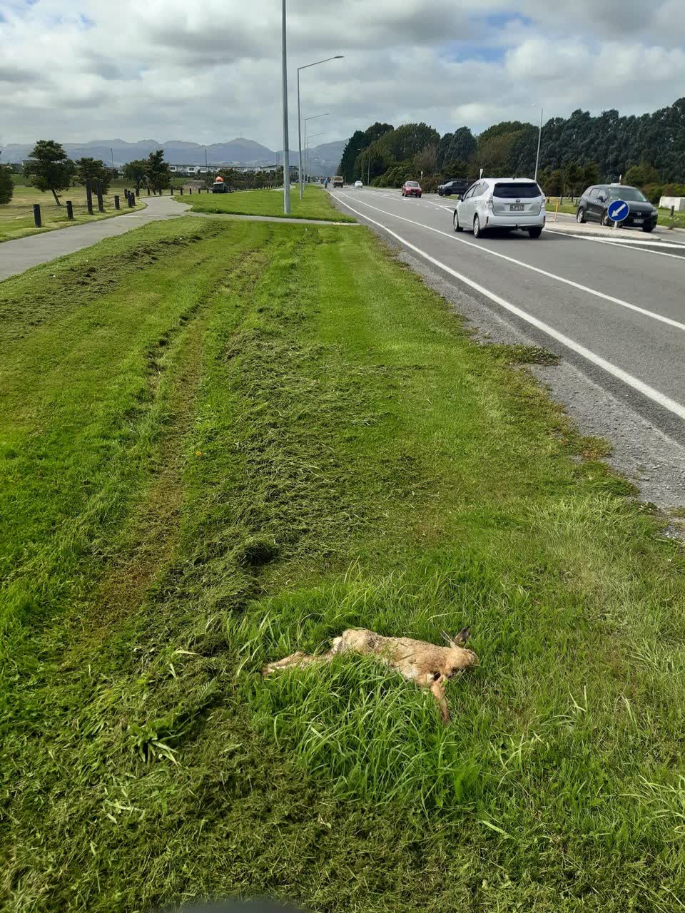 The photograph attached to this parks report