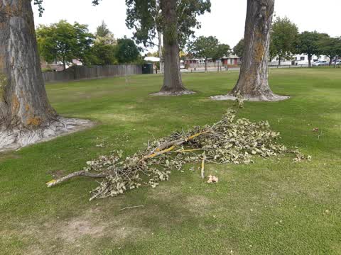Parks, a report photo