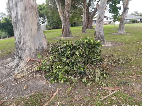 Parks, a report photo