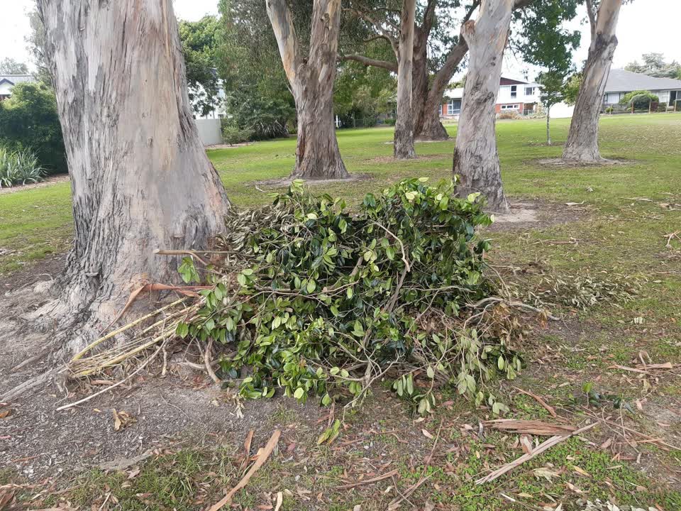 The photograph attached to this parks report