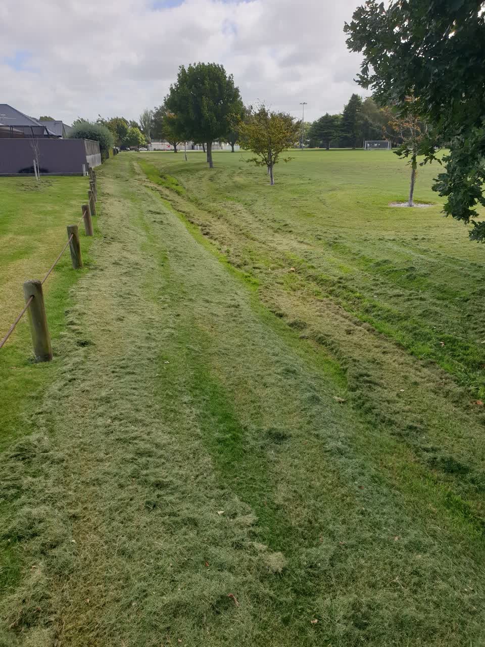 The photograph attached to this parks report