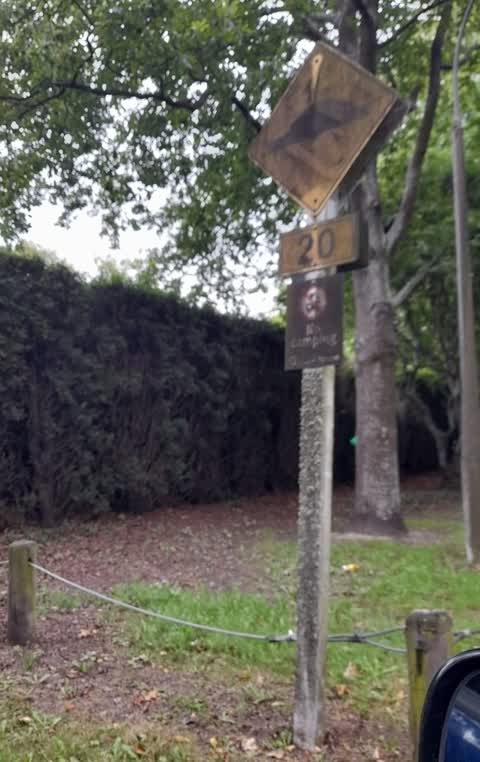 Parks, a report photo
