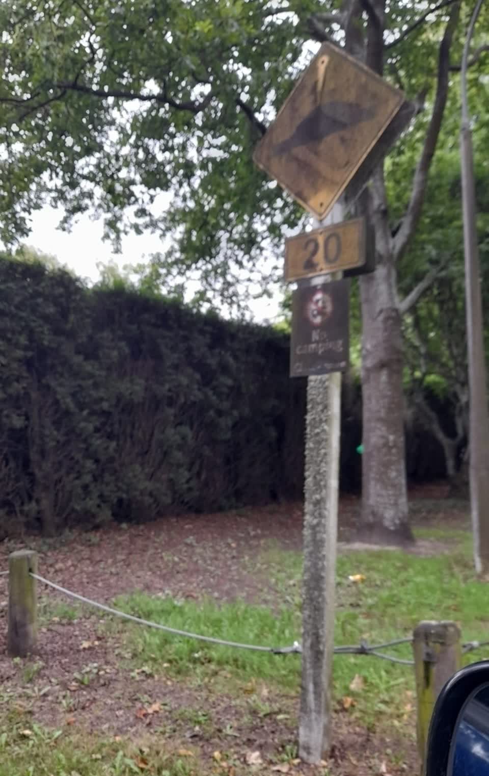 The photograph attached to this parks report