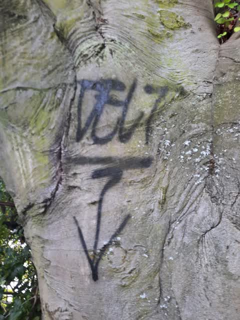 Graffiti — a report photo