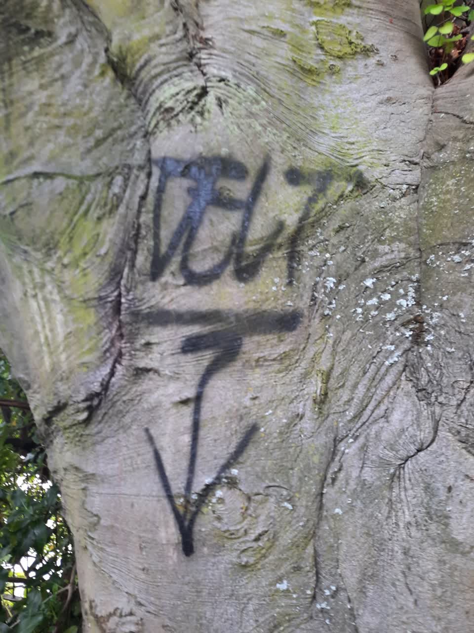The photograph attached to this graffiti report