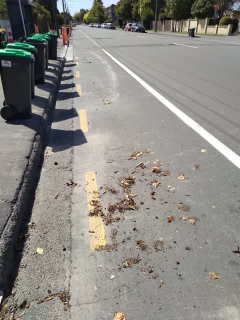 Rubbish/Recycling, a report photo