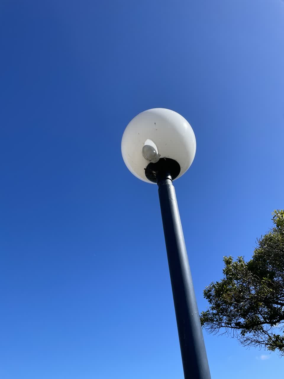 The photograph attached to this street light outage report