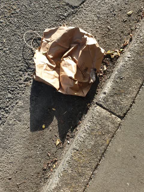 Rubbish/Recycling — a report photo
