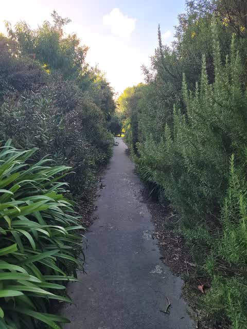 Parks, a report photo