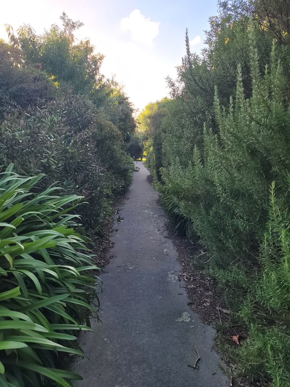 The photograph attached to this parks report