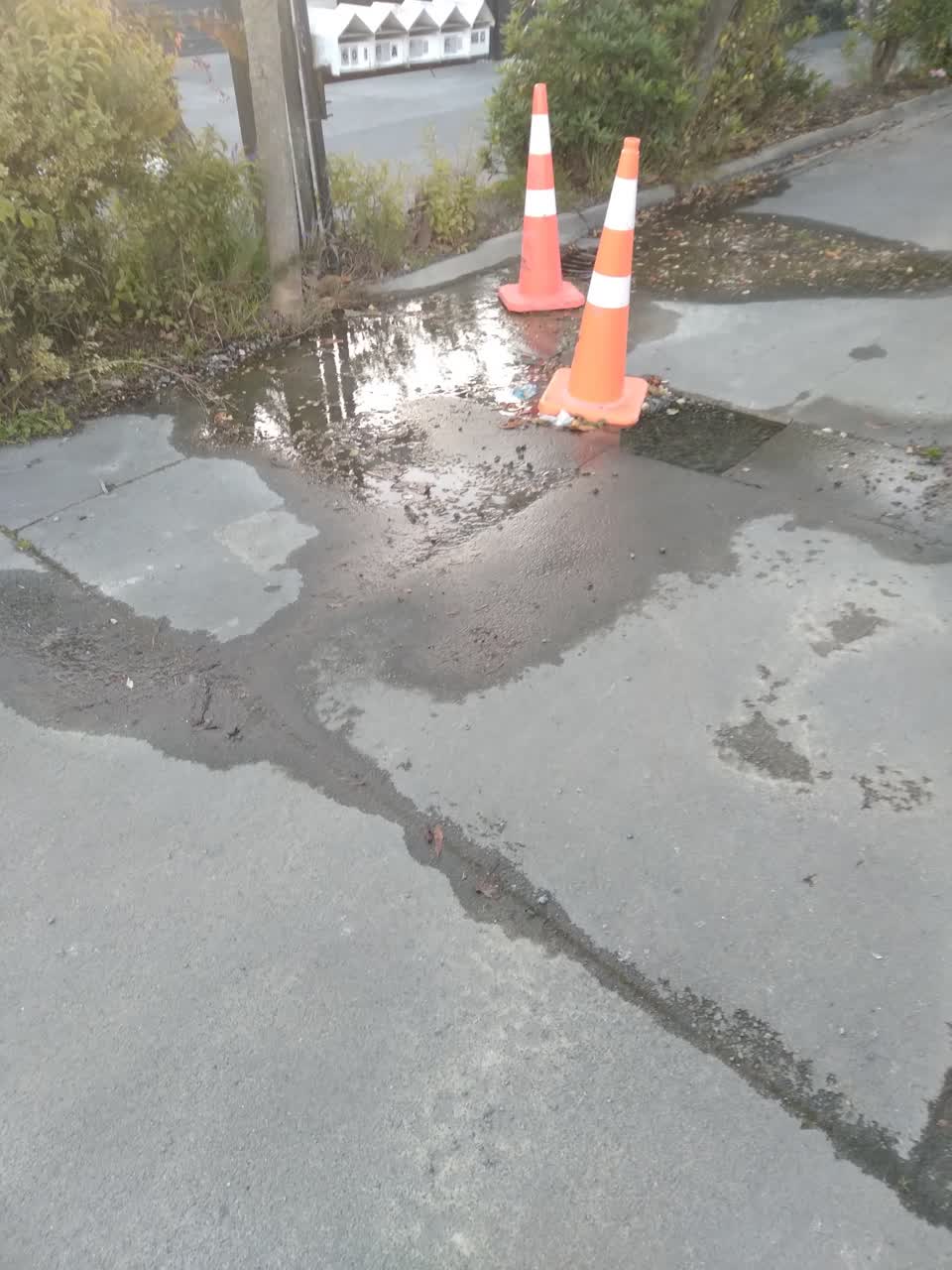 The photograph attached to this water leak report