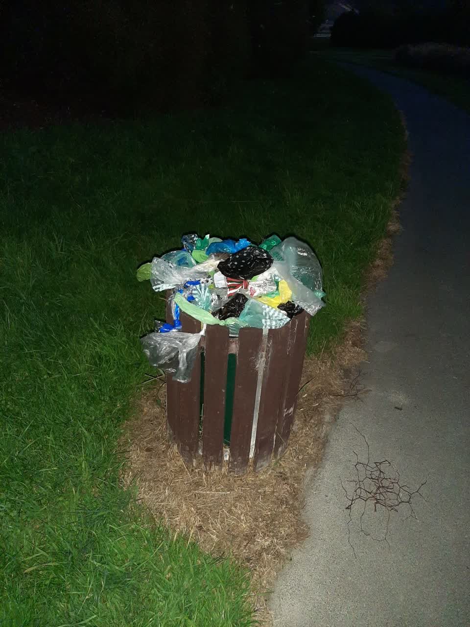 The photograph attached to this rubbish/recycling report