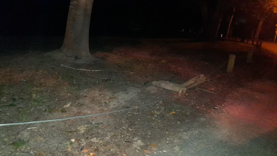 The photograph attached to this parks report