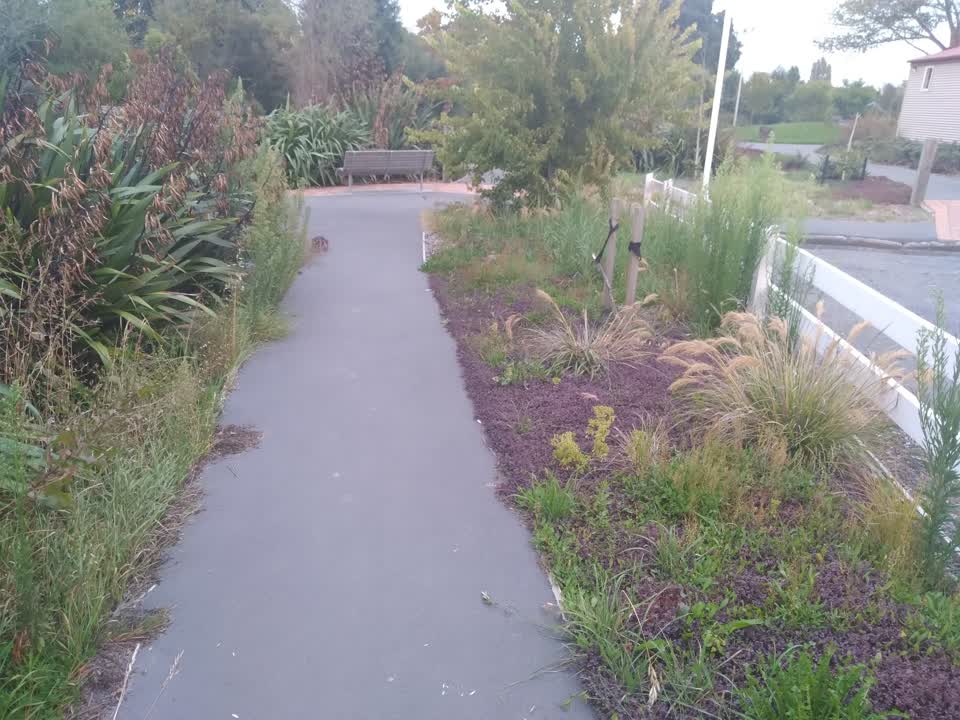 The photograph attached to this parks report