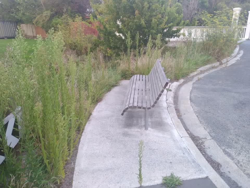 The photograph attached to this parks report