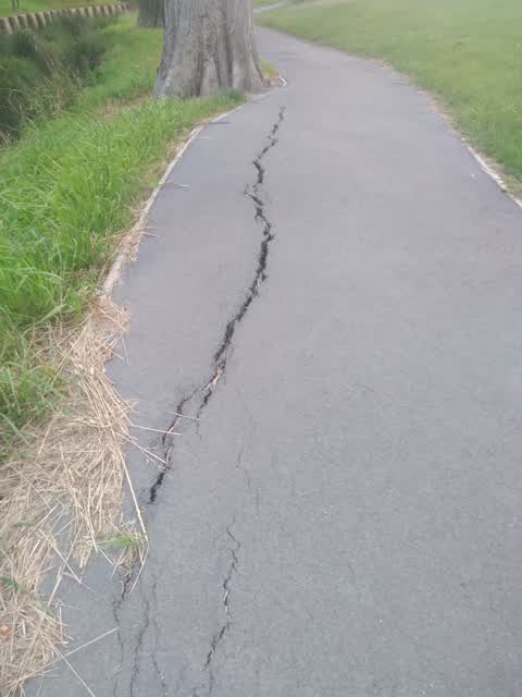 Roading/Streets, a report photo