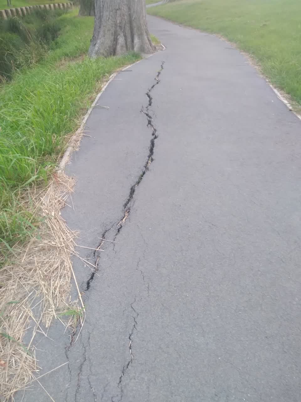 The photograph attached to this roading/streets report