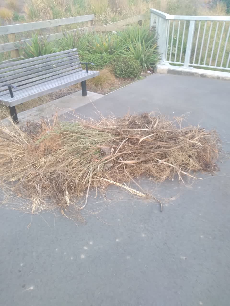 The photograph attached to this parks report