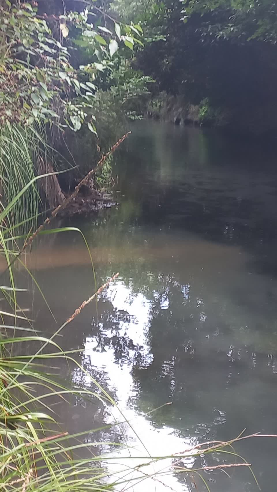 The photograph attached to this wastewater/stormwater report