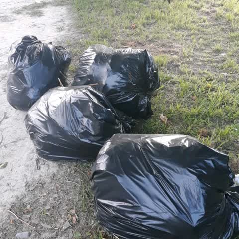 Parks, a report photo