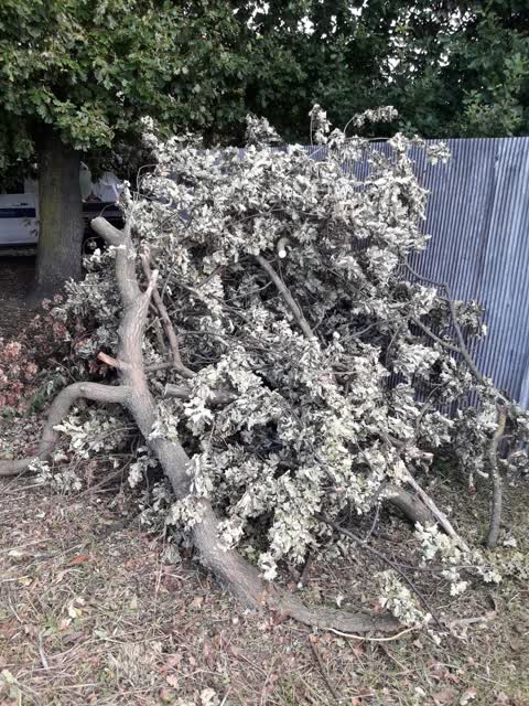 Rubbish/Recycling — a report photo