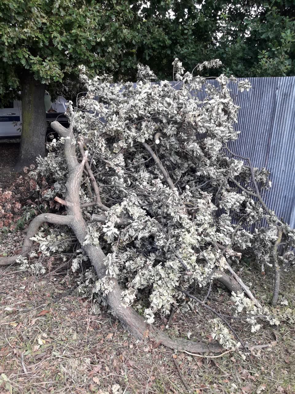 The photograph attached to this rubbish/recycling report