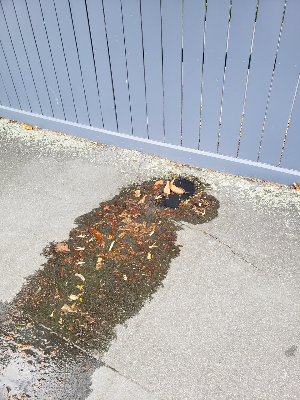 The photograph attached to this water leak report