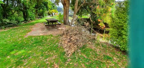 Parks, a report photo