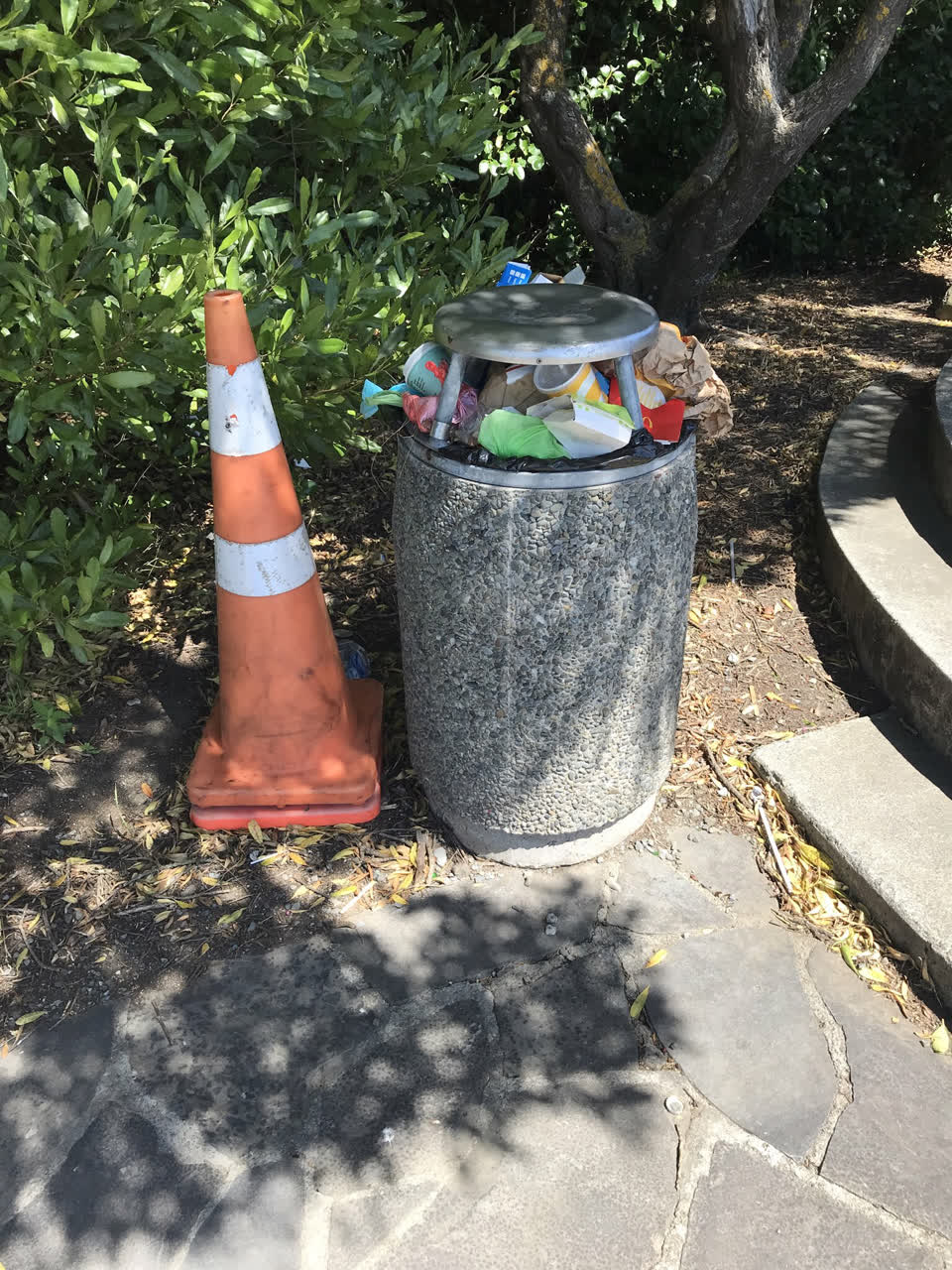 The photograph attached to this parks report