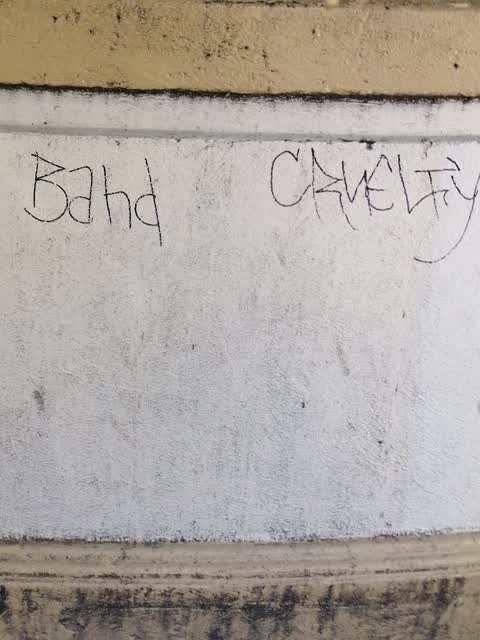 Graffiti, a report photo