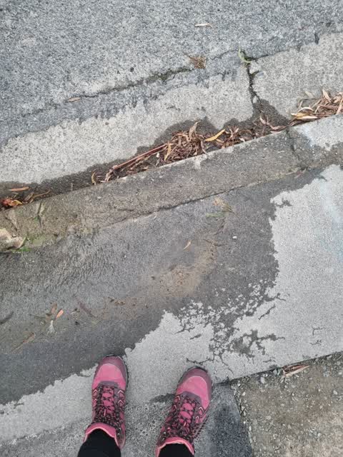 Water Leak, a report photo